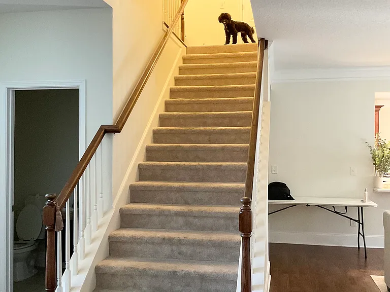 9461 Forest Crown Dr — Photo 26