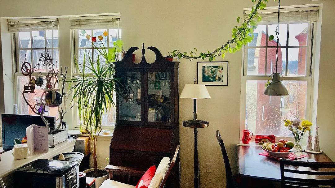 3125 Mount Pleasant St NW — Photo 4