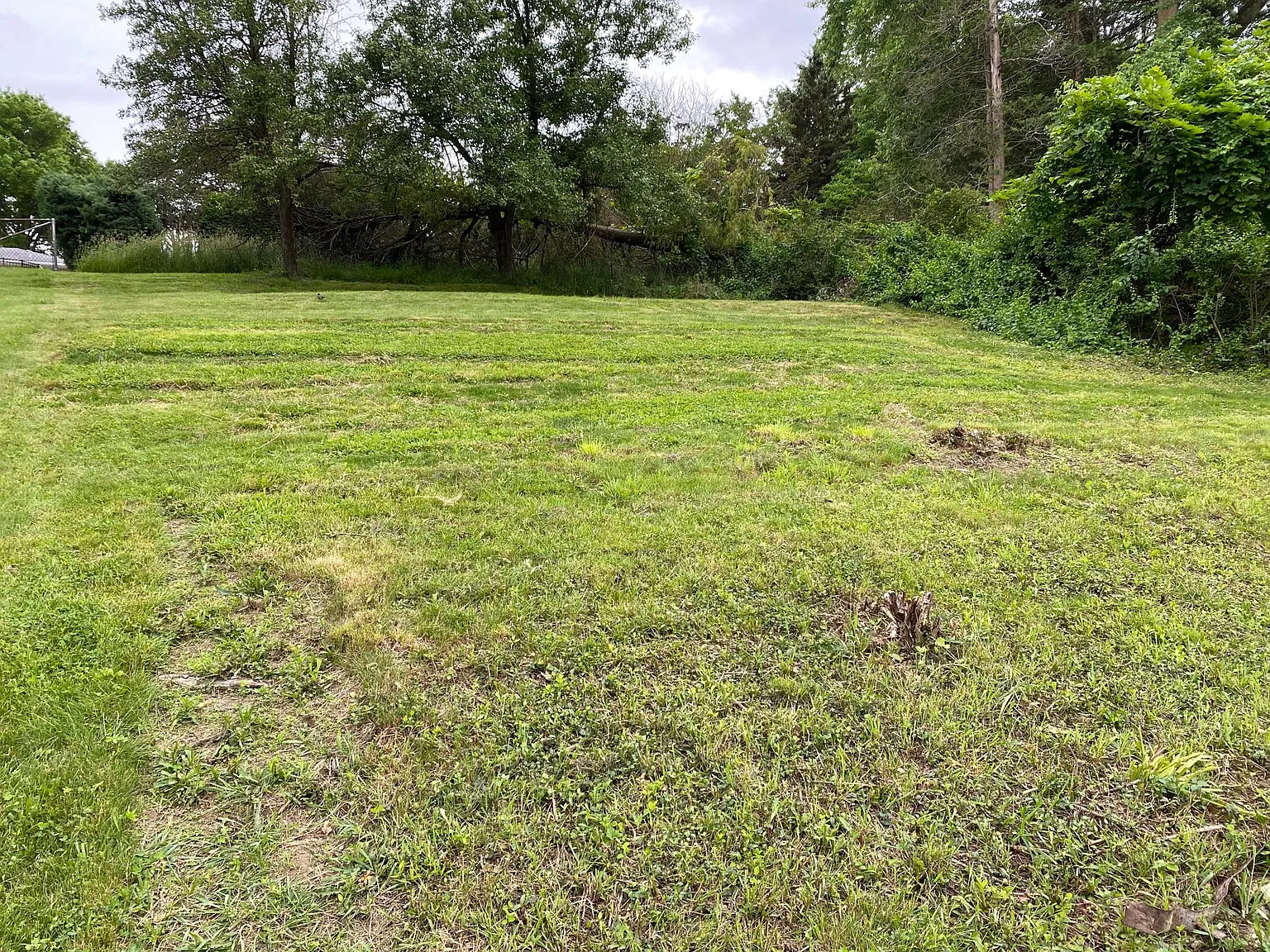230 E Elmhurst Rd — Photo 3