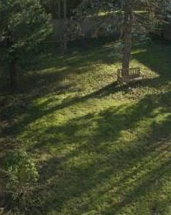 Huge Fenced Backyard
