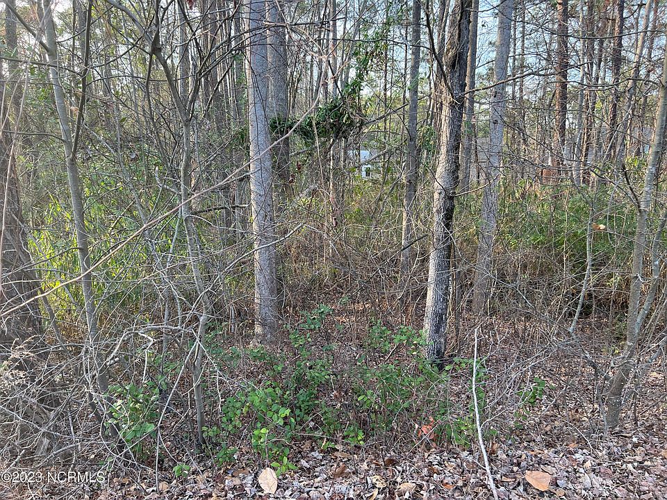 2nd image of 345 Spring Lake Dr