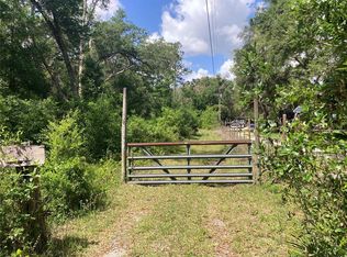 3499 Burwell Rd, Webster, FL 33597