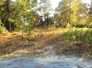 14198 Barlington St, Spring Hill, FL 34609