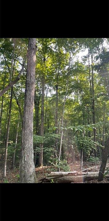 2nd image of 395 Roach Rd