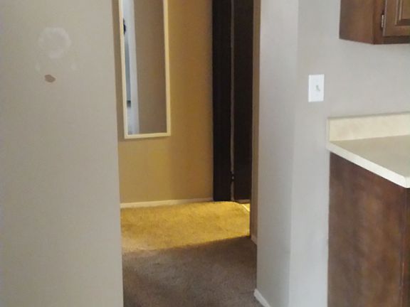 hall view from kitchen