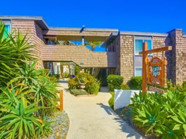 Sea Chase (Acacia Avenue)