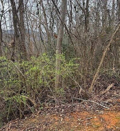 4th image of 2264 Stoneview Way