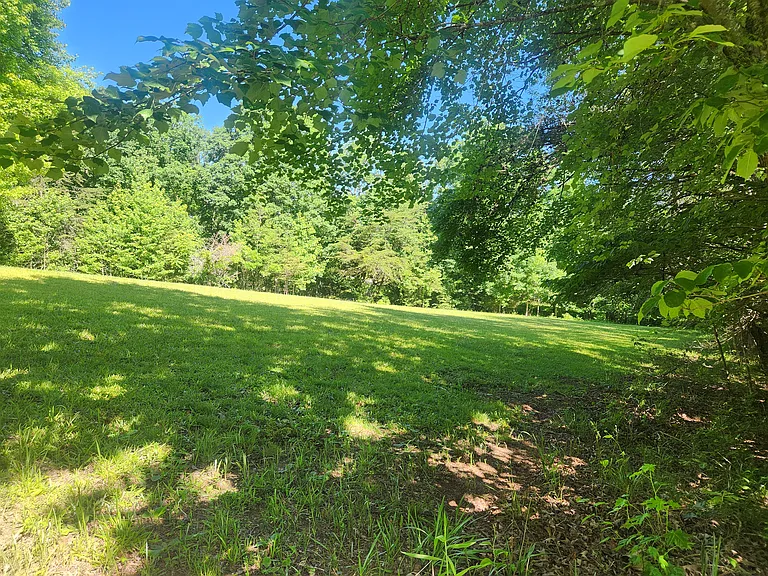 88 Cajun Hill Rd — Photo 9