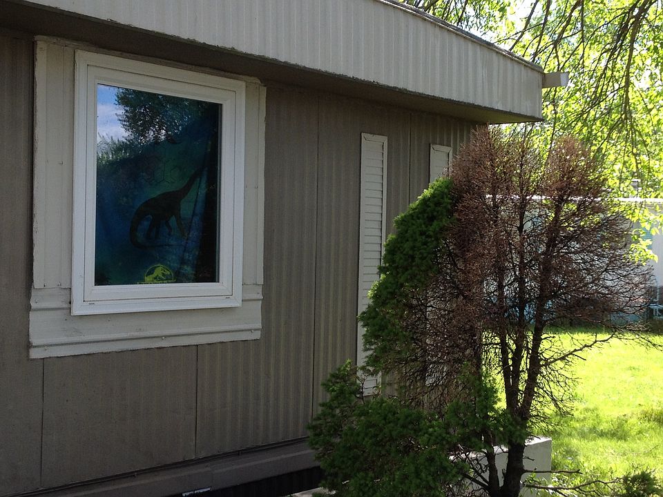 New vinyl windows