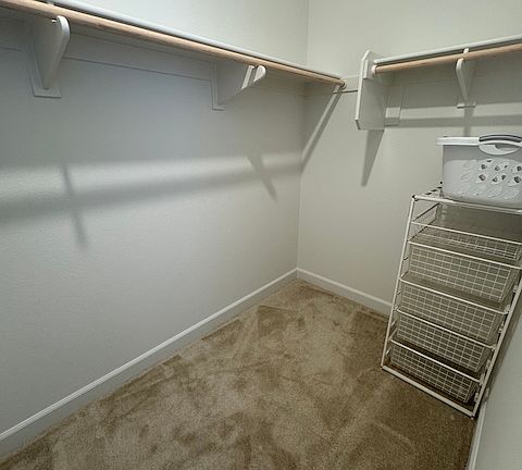 Large walk-in closet