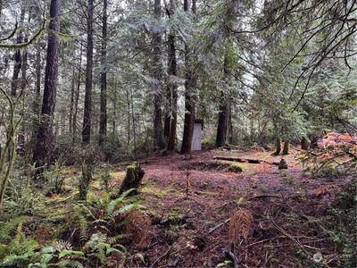 16616 74th Street NW, VAUGHN, WA, 98394