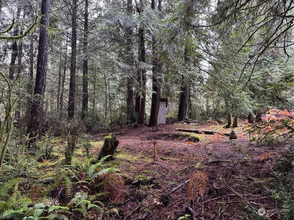 16616 74th Street NW, Vaughn, WA 98394