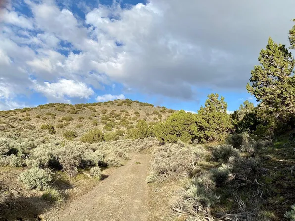 819009 Imlay Ave, Imlay, NV 89418