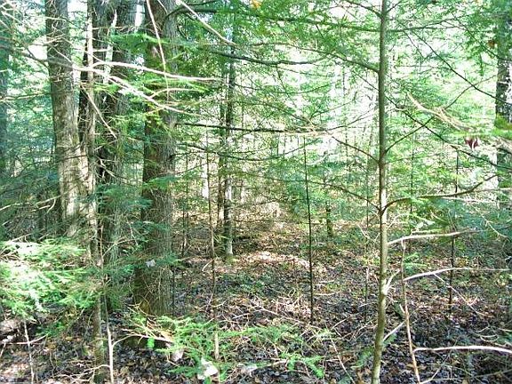 3rd image of Middle Sugarbush Ln