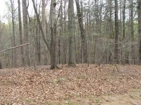 32 Scruggs Rd, Moneta, VA 24121