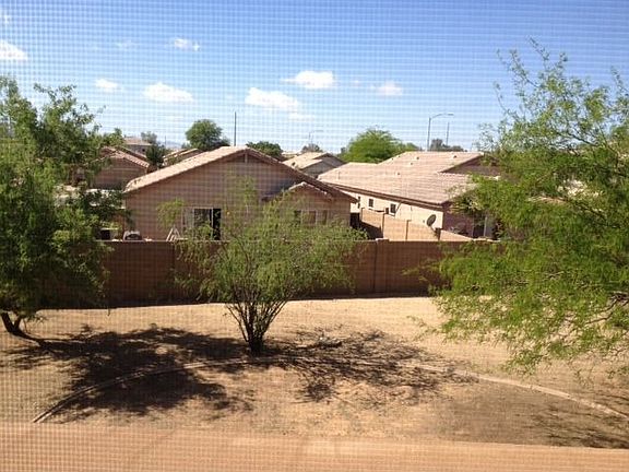 Back yard