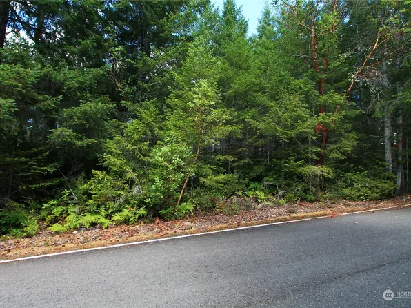 0 Lot 1 NE Bear Ridge Road, Tahuya, WA 98588