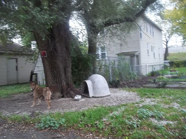 2nd image of 215 29th Ave