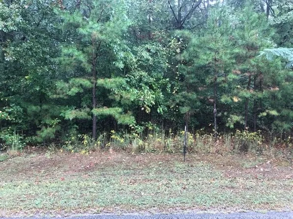 2600 N Pisgah Rd, Henderson, TN 38340