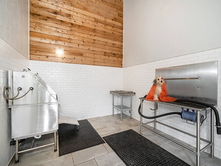 Pet Wash