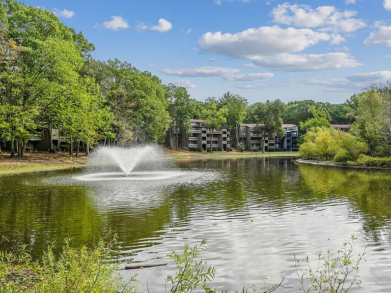 ReNew Woodlake — Photo 34