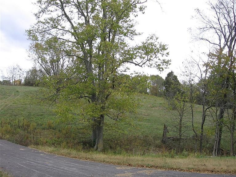 2nd image of 0 H Bruner Rd Lot 1