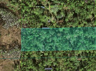 0 Deen Still Rd, Davenport, FL 33897