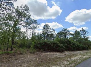 9221 N Paradisea Dr, Citrus Springs, FL 34433