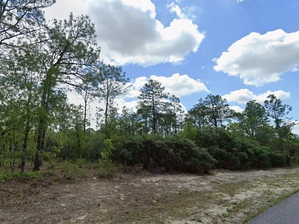 9221 N Paradisea Dr, Citrus Springs, FL 34433