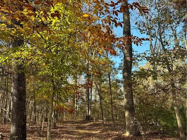 0 Theodore Cox Cir, Canton, GA 30114