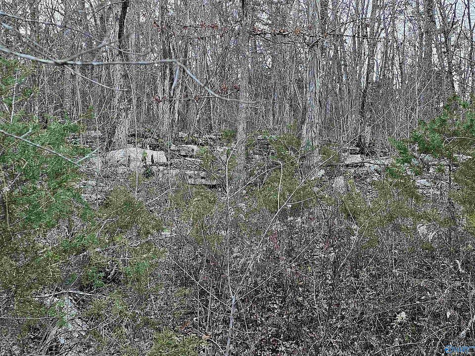 2nd image of Wesley Childers Rd