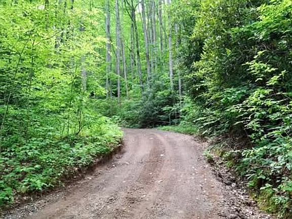 2nd image of 0 Sometimes Creek Rd