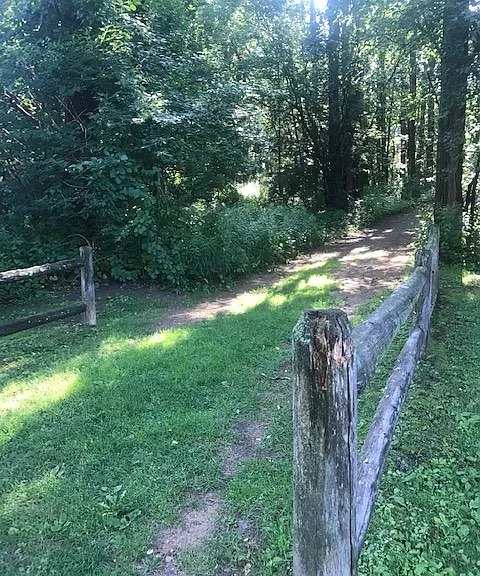 182 Locust Hill Rd — Photo 28