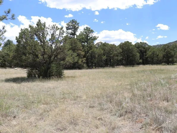 6th Trl, Cotopaxi, CO 81223