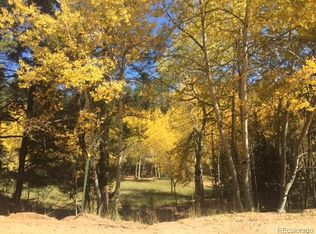 430 Pinon Ln, Florissant, CO 80816