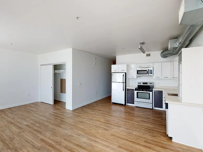 Apartment kitchen with stainless steel appliances, dining and living room with wood-style flooring.