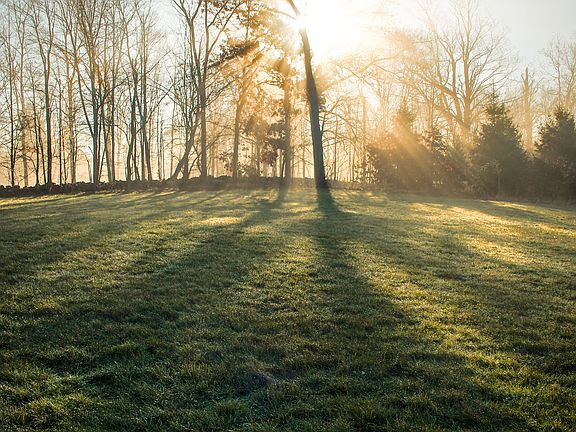 View from the front yard