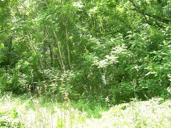 2nd image of 0 State Highway 221 Highway North Tract #2-1