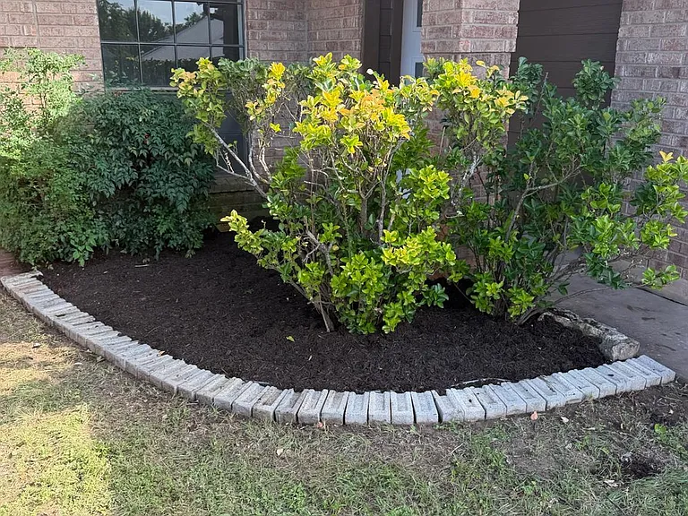 607 Saunders Dr — Photo 10