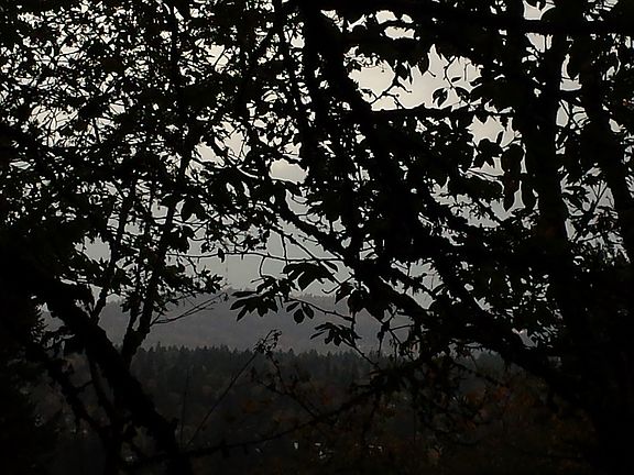 3rd image of Parcel Se Tenino Ct #00043278
