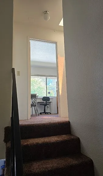 105 Torrey Pine Ter — Photo 12