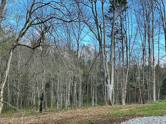 5th image of 0 Campbellsville Rd