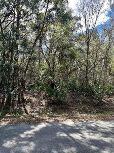 0 NW 13th St LOT 5 & 6, Ocala, FL, 34482