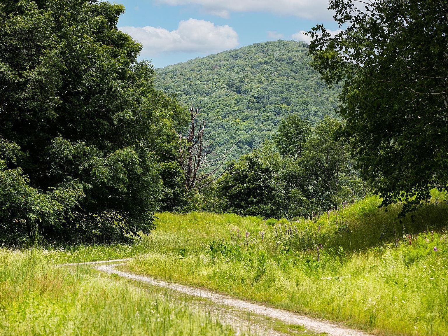 Lots 7,8,9 Birchstone Lane, East Dorset, VT 05253 Zillow
