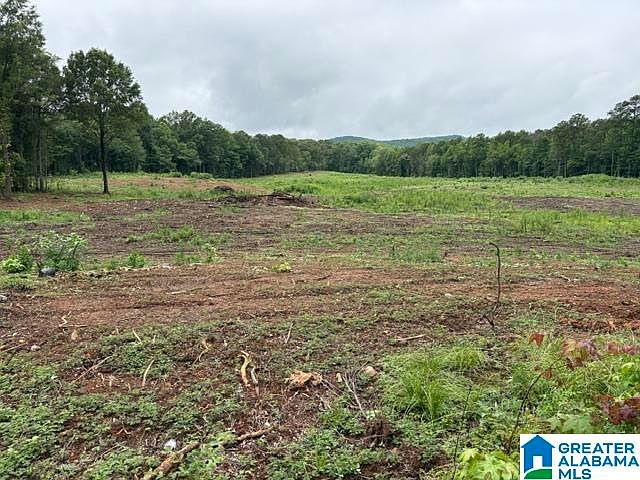 1st image of 13 Acres Hwy #280-0