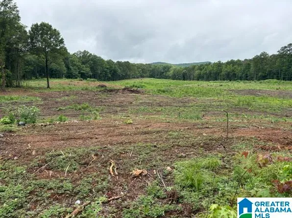 13 Acres Hwy #280-0, Sylacauga, AL 35151