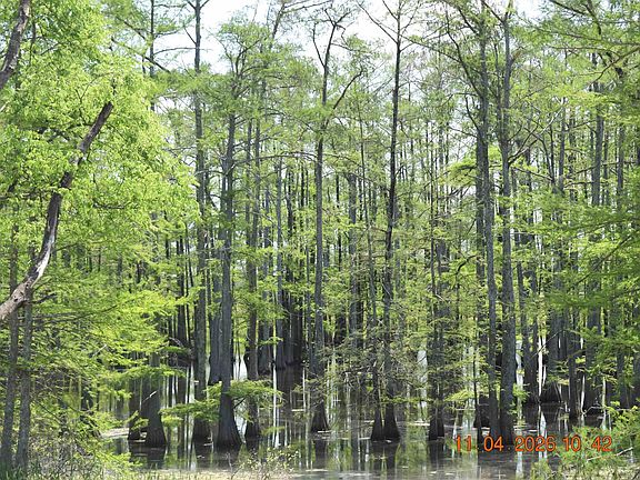 5th image of 521 Scales Rd