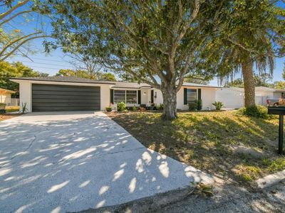 11338 Yellowwood Ln, Port Richey, FL, 34668
