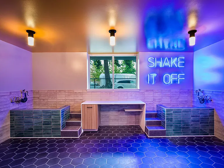 Pamper your pup in style at Modera Shoreline's pet spa, complete with washing stations and playful touches designed for your four-legged companion.