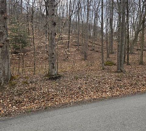 4th image of 2185 Little Sand Run Rd
